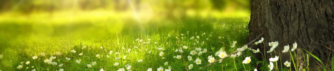 event announcement 5